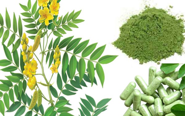 lalitha-international-exports, best-exports-in-chennai, herbal-exports-in-chennai,herbal-exports-in-koyambedu 